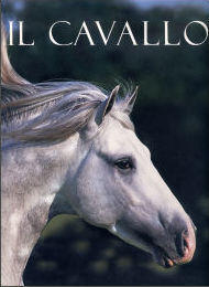 Il cavallo