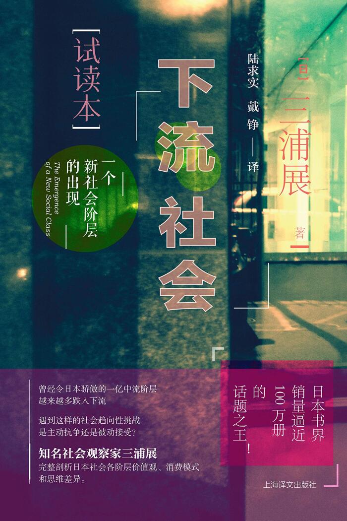 下流社会：一个新社会阶层的出现（试读本）