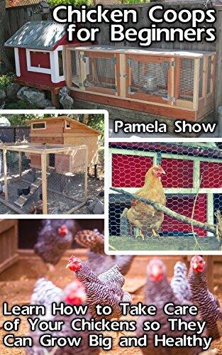 Chicken Coops For Beginners: Learn How To Take Care Of Your Chickens So They Can Grow Big And Healthy: