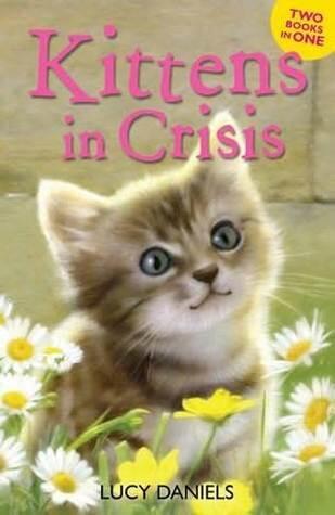 Kittens in Crisis: Tabby in the Tub & Cats in the Caravan