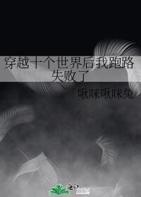 穿越十个世界后我跑路失败了