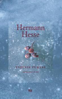 Vidinis turtas