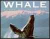 Whale: Giant of the Ocean