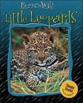 Little Leopards
