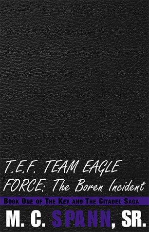T.e.f. Team Eagle Force: The Boren Incident