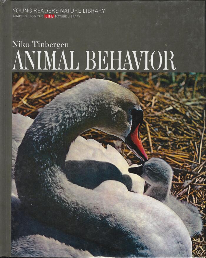 Animal Behavior