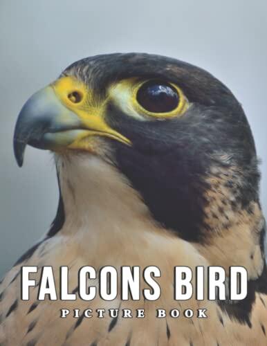 The Picture Book Of Falcons Bird: An Album Consist Of Compelling Photos Collection Of Falcons Bird With High Quality Images As A Special Gift For Friends, Family, Lovers, Relative