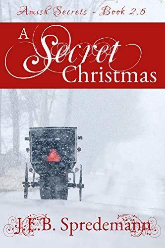 A Secret Christmas: Amish Secrets