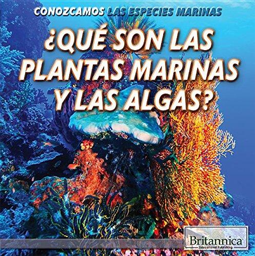 Qué Son Las Plantas Marinas y Las Algas? / What Are Sea Plants and Algae?