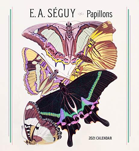 Papillons 2021 Wall Calendar