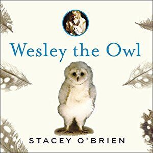 Wesley the Owl: The Remarkable Love Story of an Owl and His Girl