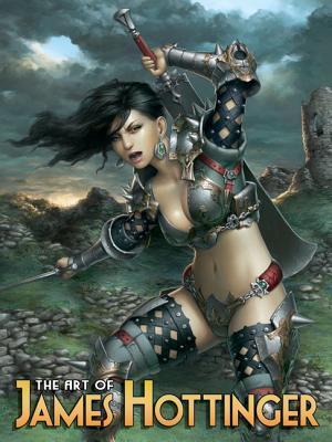 The Art of James Hottinger