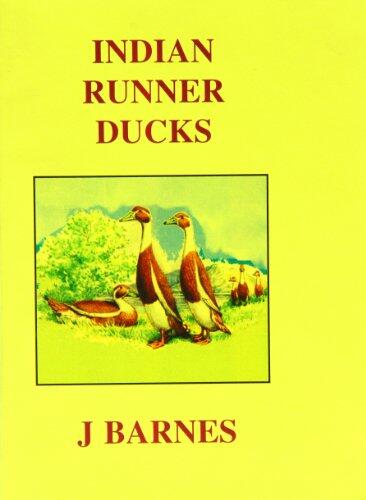 Indian Runner Ducks