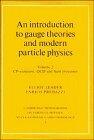 An Introduction to Gauge Theories and Modern Particle Physics, Vol. 2: CP-Violation, QCD and Hard Processes