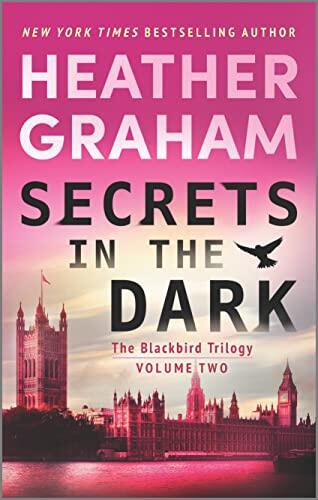 Secrets in the Dark (A Novel)