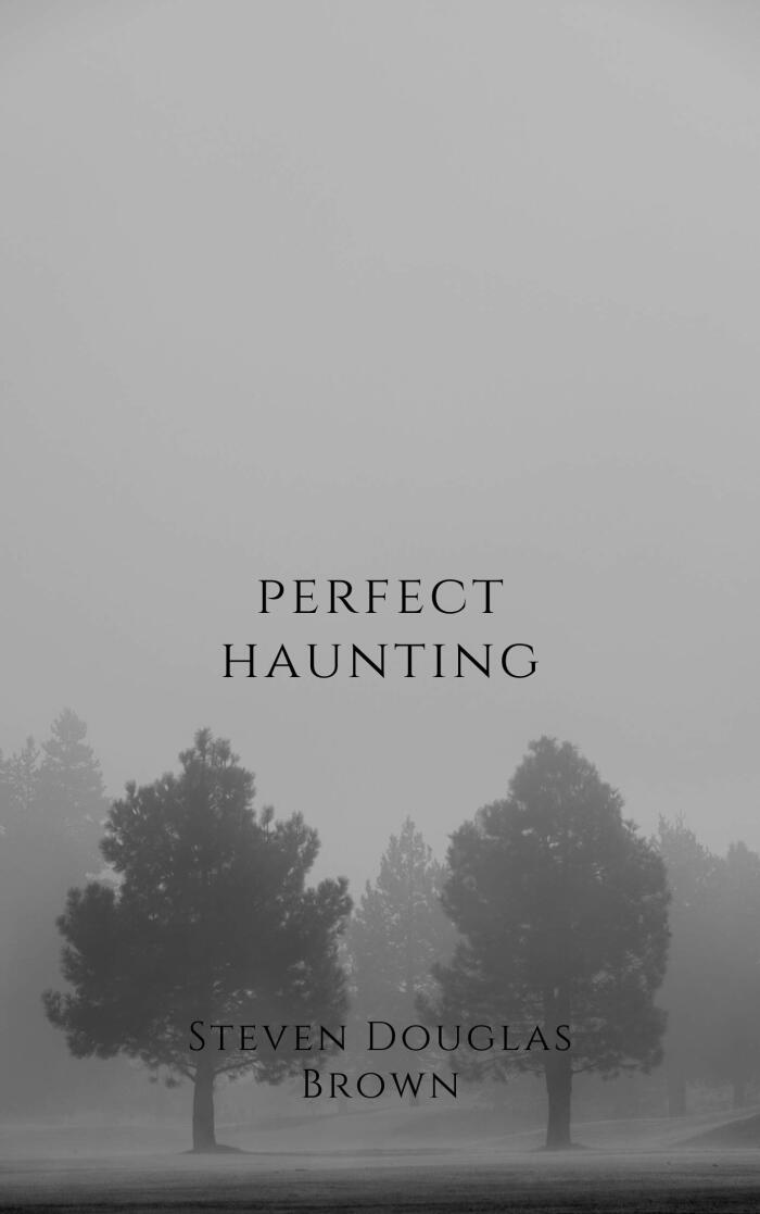 PERFECT HAUNTING