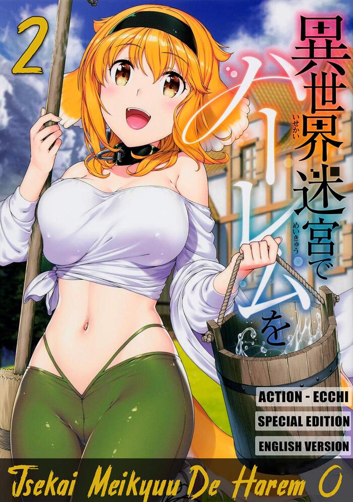 Best Action - Ecchi Manga: Isekai Meikyuu De Harem O Full Series: vol. 2: