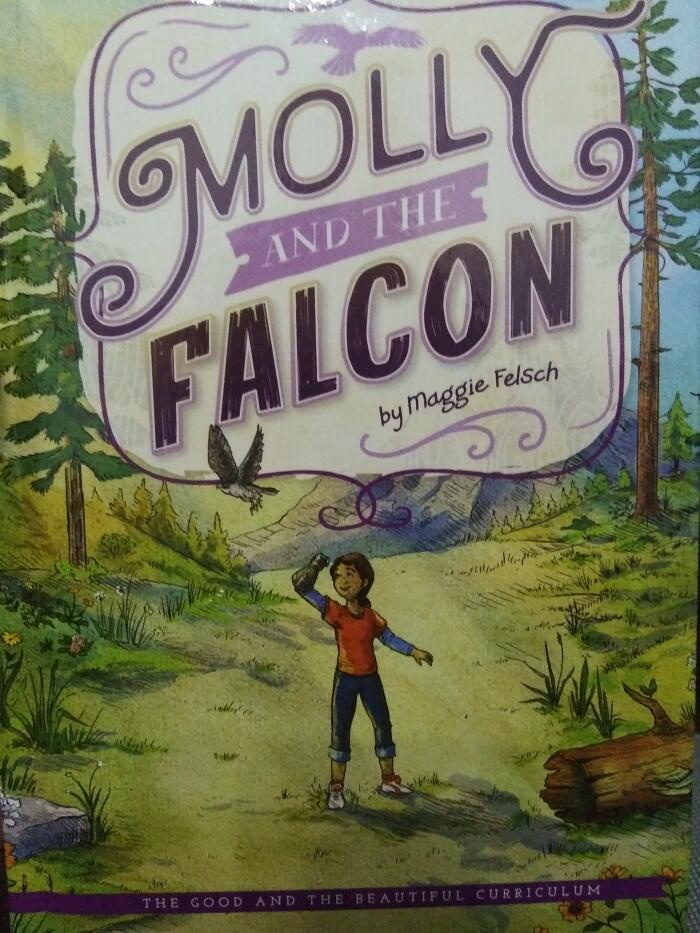Molly and the Falcon
