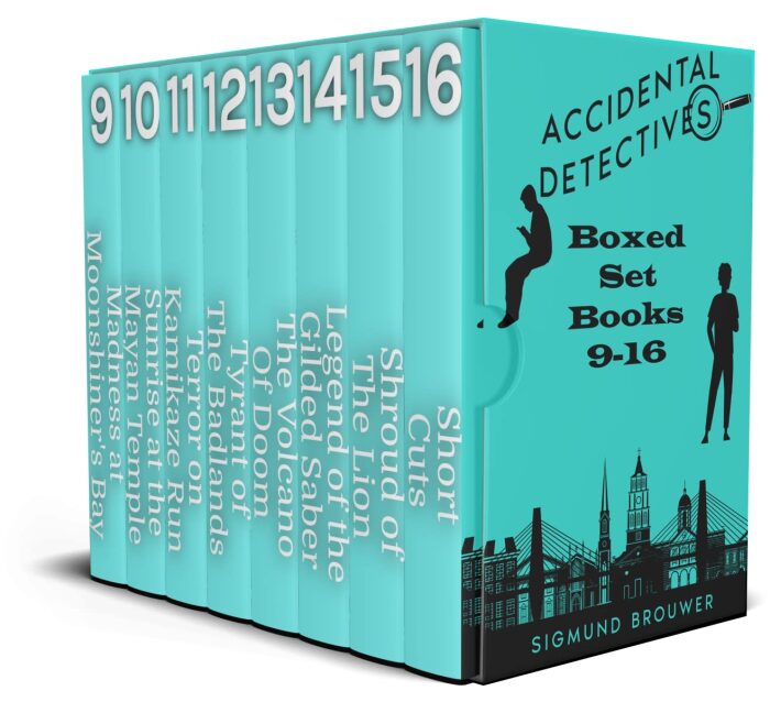 Accidental Detectives Boxed Set: Books 9-16