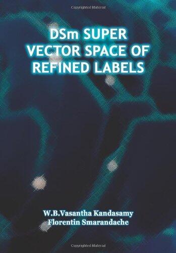 DSm Super Vector Space of Refined Labels