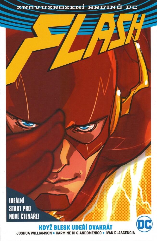 Flash, Kniha 1: Když blesk udeří dvakrát