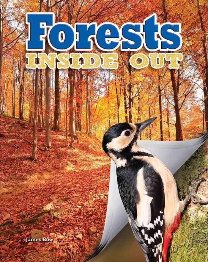Forests Inside Out