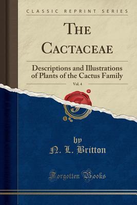 The Cactaceae, Vol. 4 (Classic Reprint): Descriptions and Illustrations of Plants of the Cactus Family