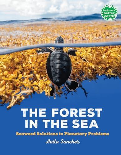 The Forest in the Sea: Seaweed Solutions to Planetary Problems