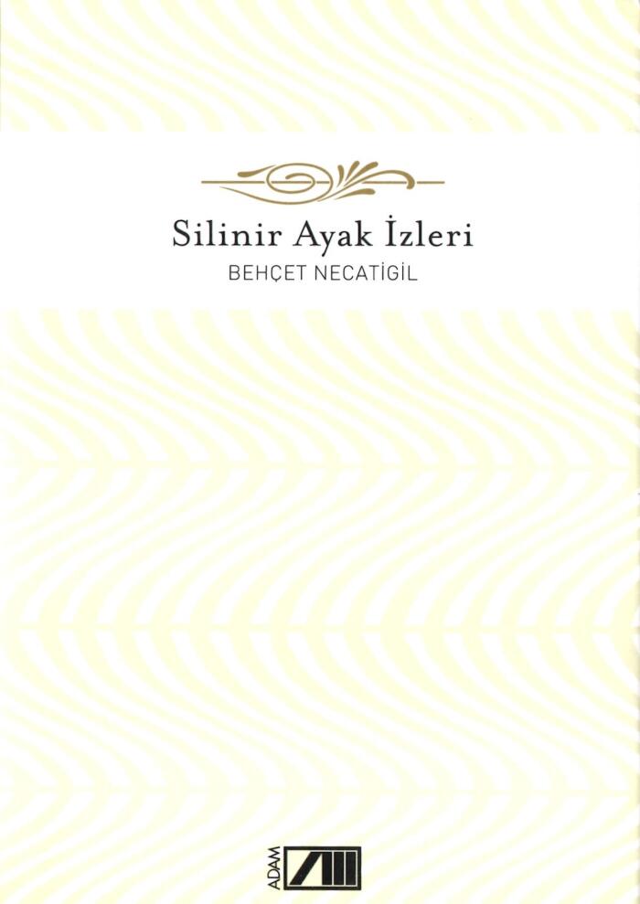 Silinir Ayak İzleri