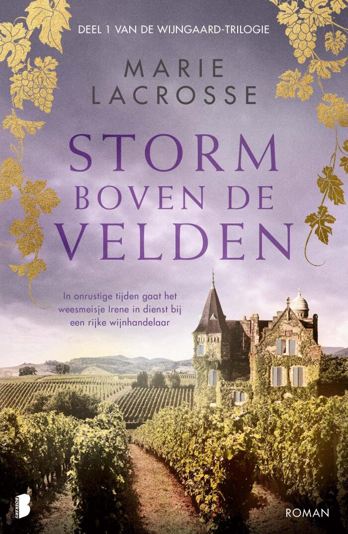 Storm boven de velden
