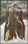 The Ghost in the Mirror