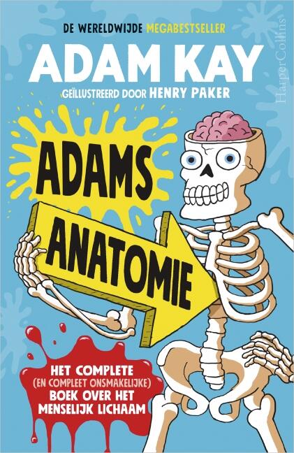 Adams anatomie