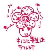 ShuShuShu Sakurai