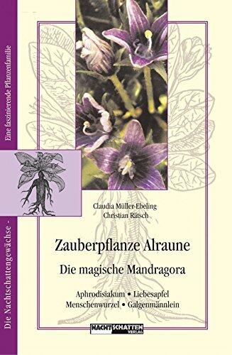 Zauberpflanze Alraune: Die Magische Mandragora: Aphrodisiakum - Liebesapfel - Galgenmännlein (Nachtschattengewächse - eine interessante Pflanzenfamilie)