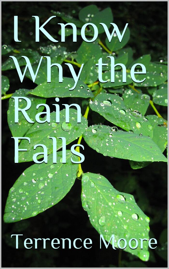 I Know Why the Rain Falls