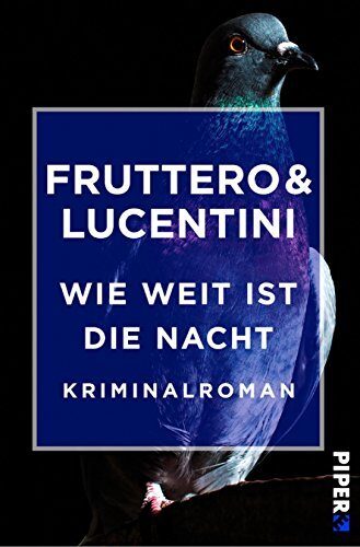 Wie weit ist die Nacht: Roman