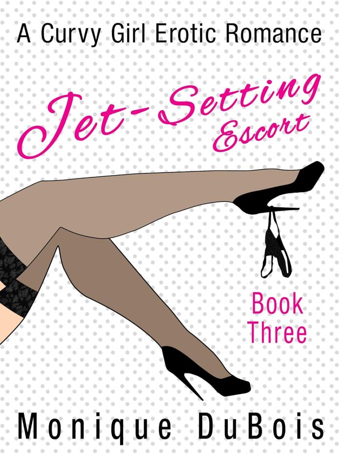 Jet-Setting Escort: Book 3