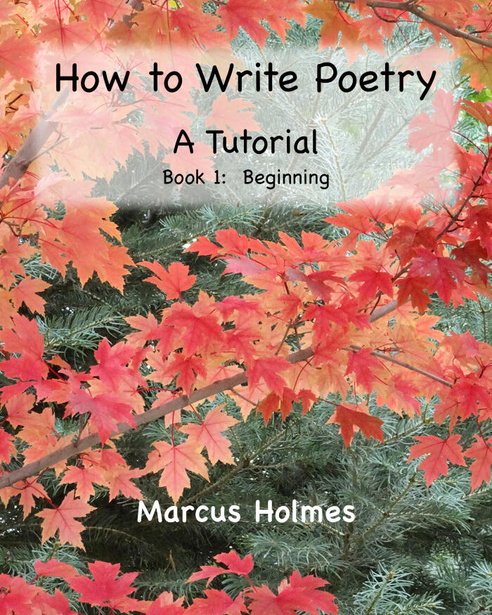 How to Write Poetry: A Tutorial: Book 1: Beginning