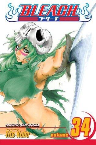 Bleach, Volume 34