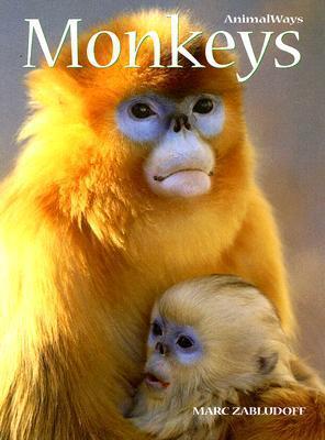 Monkeys