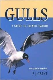 Gulls: A Guide to Identification