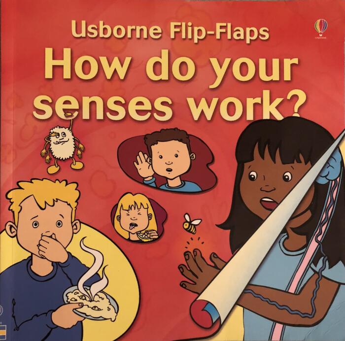 How Do Your Senses Work