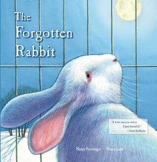 The Forgotten Rabbit