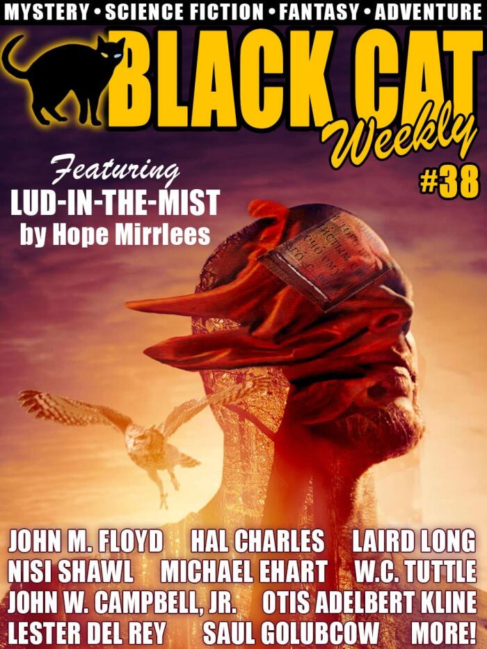 Black Cat Weekly (Issue #38)