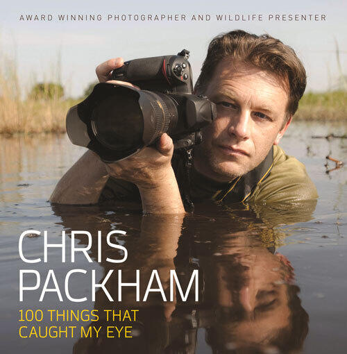 100 Things that Caught My Eye