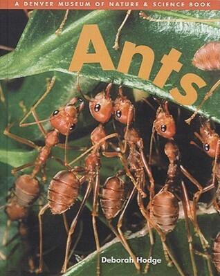 Ants (Denver Museum Insect Books)