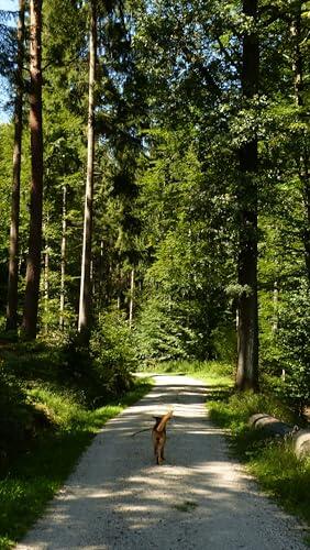Emilys Tagebuch: Erlebnisse einer Schäferhund Mischlings Dame