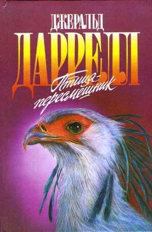 Птица-пересмешник