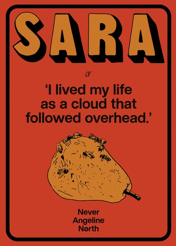 Sara or 'I lived my life as a cloud that followed overhead'