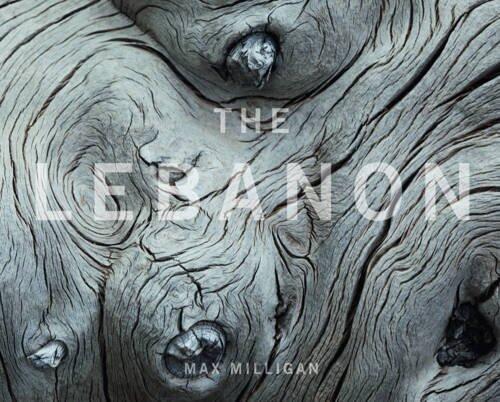 The Lebanon by Max Milligan